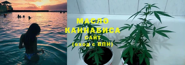 молекула духа Навашино